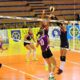 mesto tt topp